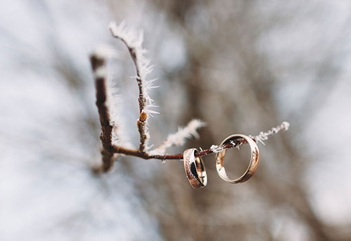 Ein kleiner Material-Guide für eure Eheringe