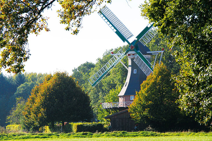 Vermählen in der Windmühle „De lütje Anja“.