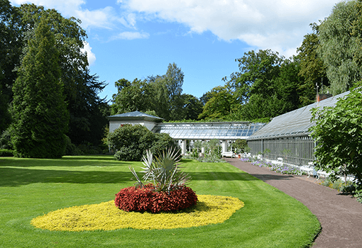 Brautpaare in der Zwickmühle - Heiraten in der Region