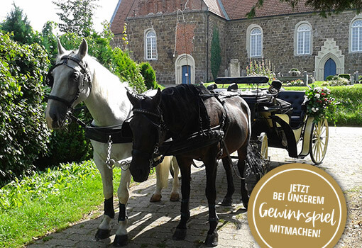 Wir spendieren eine Hochzeitskutsche!